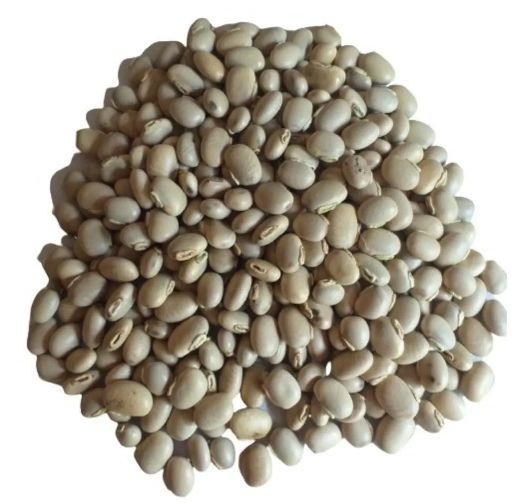 Frijol Mucuna (Mucuna pruriens) (1 KG)