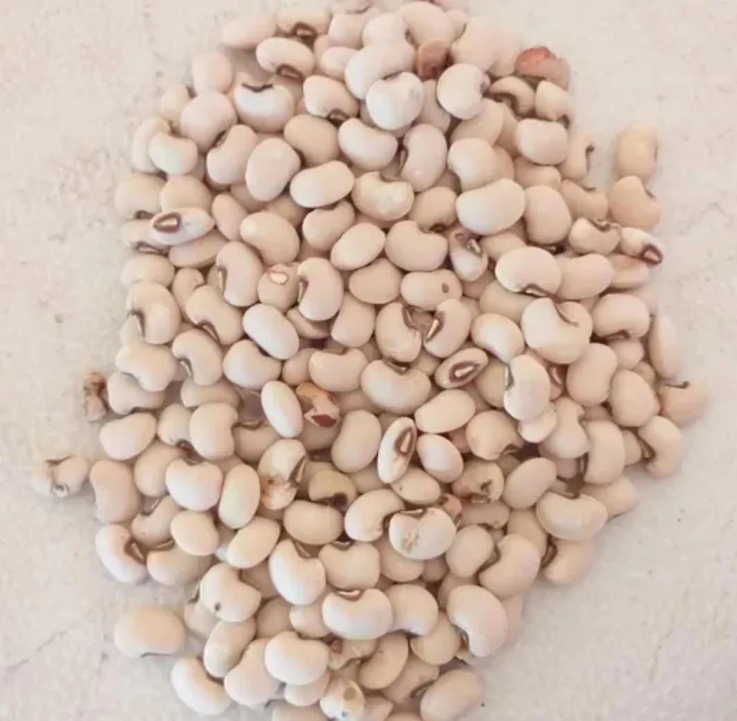 Frijol Blanco (Semilla Nativa)(1KG)