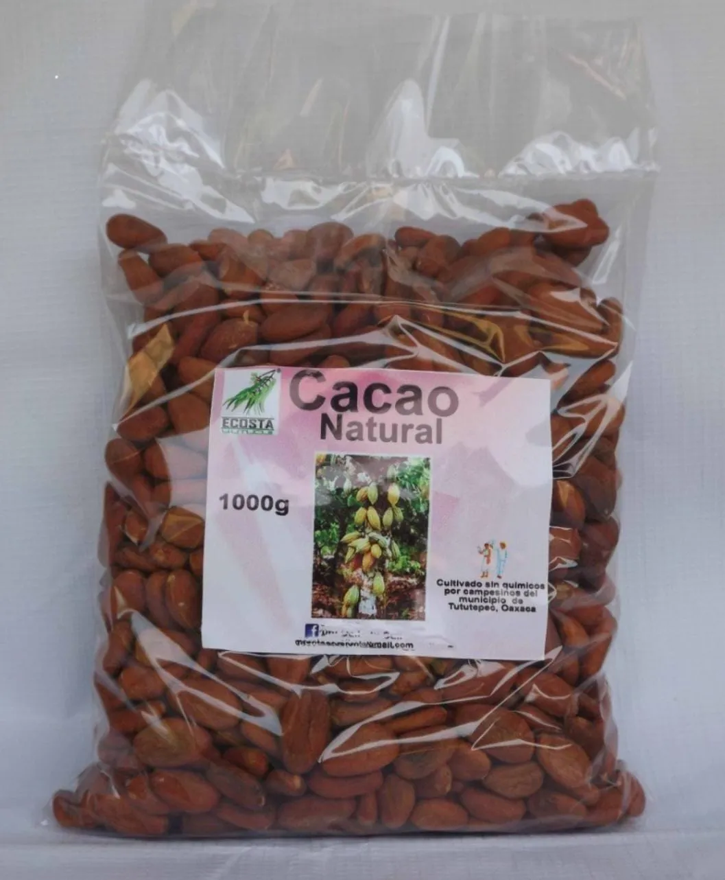 Semilla de Cacao (1 KG)