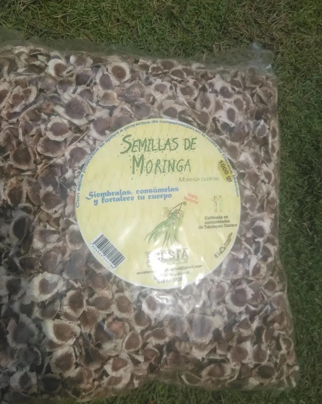Semilla de Moringa (1 kg)